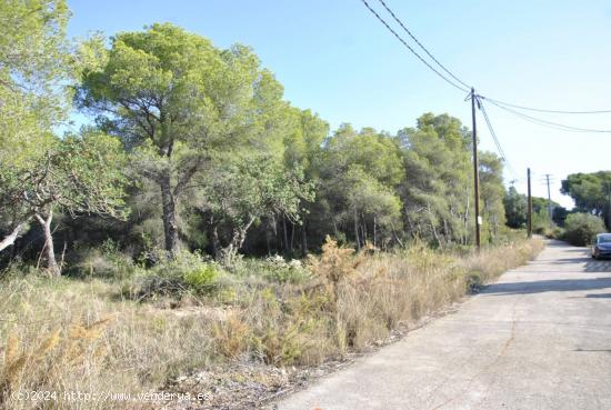 Parcela Rústica en el municipio de Cubelles, 5.560 mts2 Corral d'en Cona - BARCELONA