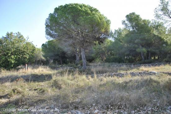 Parcela Rústica en el municipio de Cubelles, 5.560 mts2 Corral d'en Cona - BARCELONA