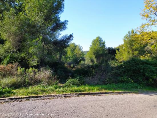 PARCELA DE 1.552M2 EN CALAFELL URBANIZACIÓN  MAS ROMEU -TARRAGONA. - TARRAGONA