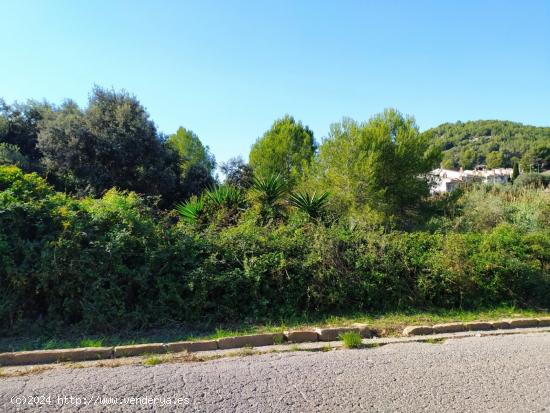 PARCELA DE 1.552M2 EN CALAFELL URBANIZACIÓN  MAS ROMEU -TARRAGONA. - TARRAGONA