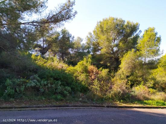 PARCELA DE 1.085M2 EN CALAFELL URBANIZACIÓN  MAS ROMEU -TARRAGONA. - TARRAGONA