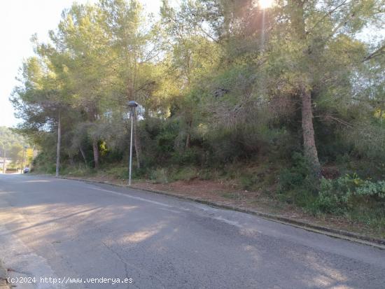 PARCELA DE 1.085M2 EN CALAFELL URBANIZACIÓN  MAS ROMEU -TARRAGONA. - TARRAGONA