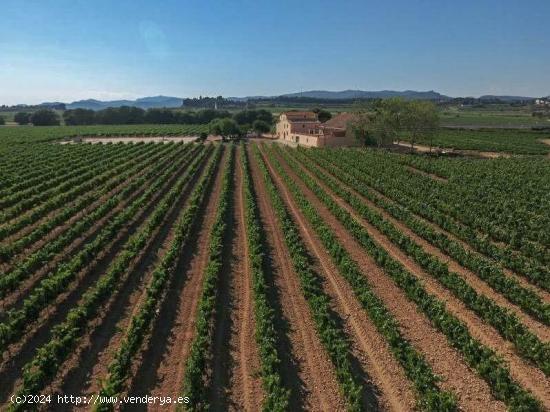 MASIA CATALANA  CATALOGADA SIGLO XVII  CON TERRENO DE 12.000 MT2 EN ALT PENEDES (BARCELONA) - BARCEL