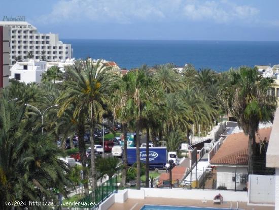 Se Vende en Adeje - SANTA CRUZ DE TENERIFE