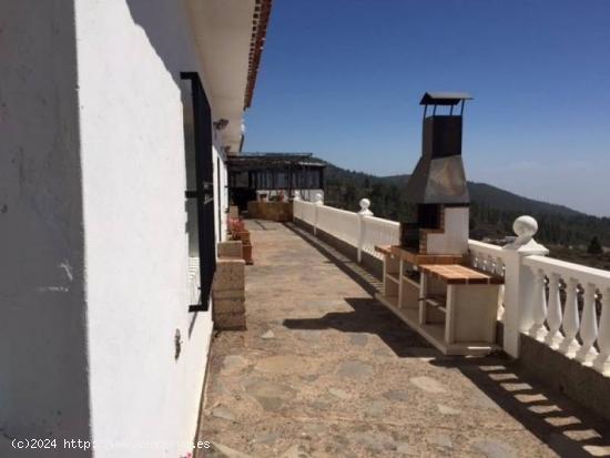 Finca en Vilaflor de 278.000 m2, con viñedos, bodega y vivienda que permite uso turistico - SANTA C