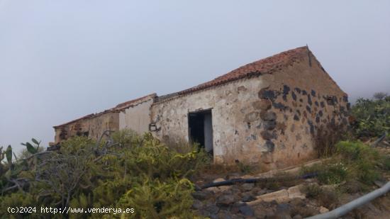 Arona zona alta terreno 300.000 m2 con casas a restaurar - SANTA CRUZ DE TENERIFE