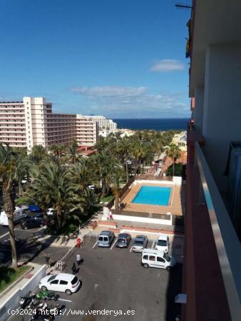 Playa Americas. Piso 1 habitacion en complejo cerrado con piscina - SANTA CRUZ DE TENERIFE