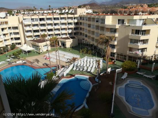 San Miguel. golf sur. piso 1 habitacion con balcon reformado. - SANTA CRUZ DE TENERIFE