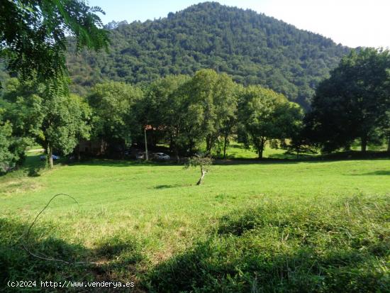 Terreno rustico en Santa Maria de Cayon - CANTABRIA