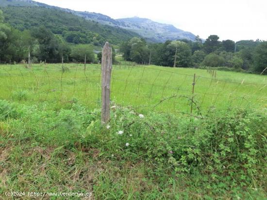 Fantástico terreno urbano - CANTABRIA