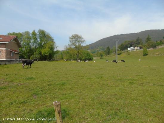 Terreno urbano para vivienda unifamiliar - CANTABRIA