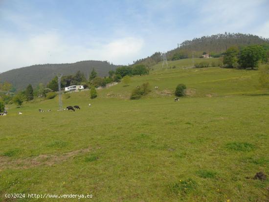 Terreno urbano para vivienda unifamiliar - CANTABRIA