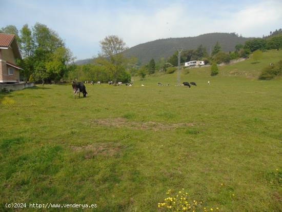 Terreno urbano para vivienda unifamiliar - CANTABRIA