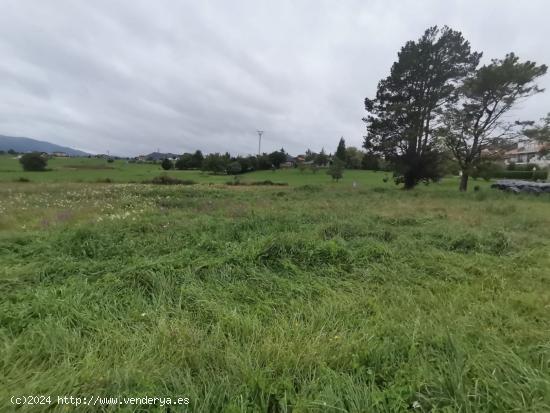 TERRENO URBANIZABLE EN SOBARZO - CANTABRIA