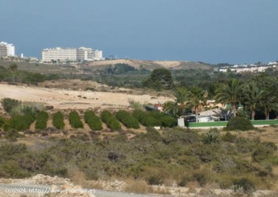  Parcela de 4000m2 terreno no urbanizable ideal para cultivo - ALICANTE 