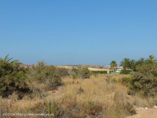 Parcela de 4000m2 terreno no urbanizable ideal para cultivo - ALICANTE