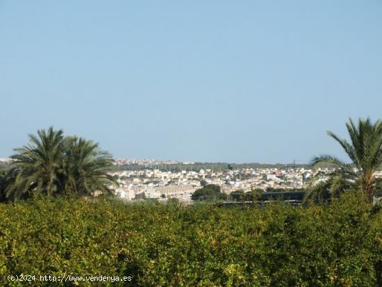 Parcela de 4000m2 terreno no urbanizable ideal para cultivo - ALICANTE