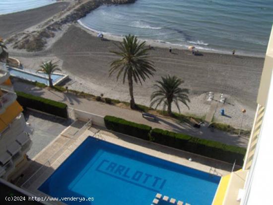 ESTUDIO REFORMADO A PIE DE PLAYA CON PISCINA Y PARKING - ALICANTE