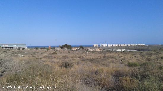 PARCELA DE 15.000 A 4 KMS DE ALICANTE - ALICANTE