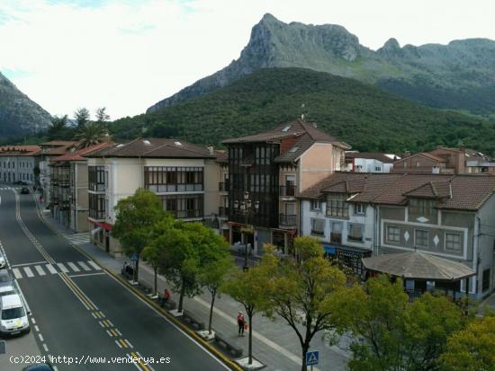 CASA CENTRICA EN LA PLAZA DE RAMALES. - CANTABRIA