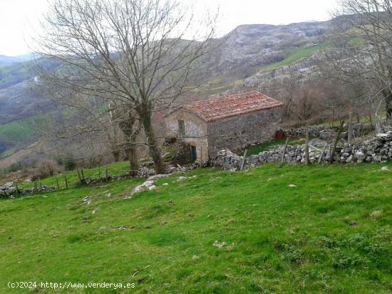 SE VENDE FINCA RUSTICA DE 14,000 METROS CON CABAÑA, - CANTABRIA