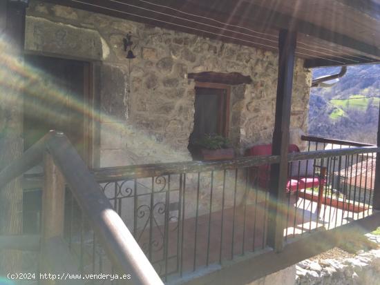 CASA DE PIEDRA EN SOCUEVA - CANTABRIA