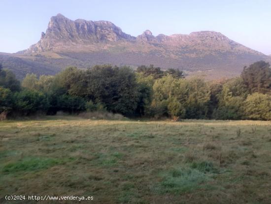 FINCA RUSTICA EN RAMALES DE LA VICTORIA (CANTABRIA) - CANTABRIA