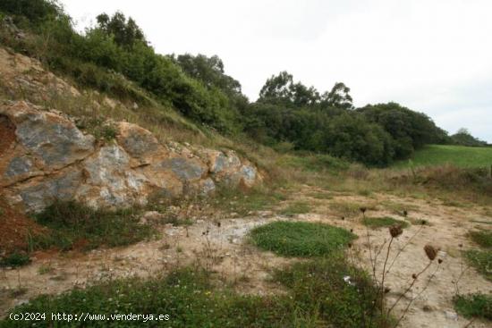  TERRENO URBANO/RUSTICO EN CONCHA - RUILOBA - CANTABRIA 