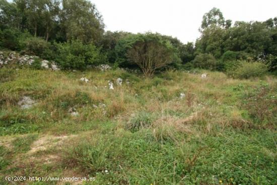 TERRENO URBANO/RUSTICO EN CONCHA - RUILOBA - CANTABRIA