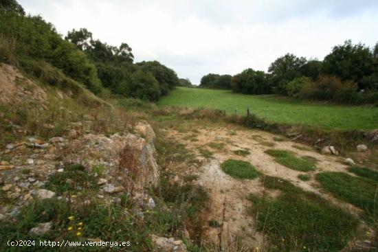 TERRENO URBANO/RUSTICO EN CONCHA - RUILOBA - CANTABRIA