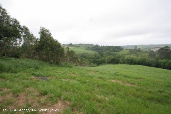 TERRENO RÚSTICO EN VALDÁLIGA - CANTABRIA