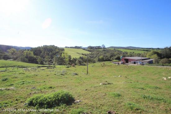  FINCA RÚSTICA CON VISTAS DESPEJADAS - CANTABRIA 