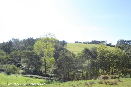 FINCA RÚSTICA CON VISTAS DESPEJADAS - CANTABRIA