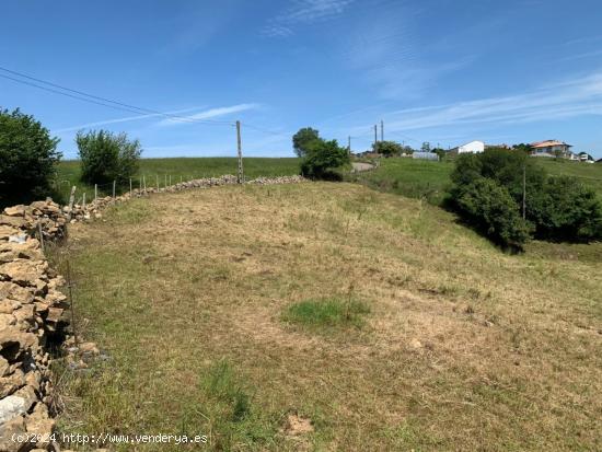 FINCA CON PARTE RÚSTICA Y PARTE URBANA EN LA HAYUELA - CANTABRIA