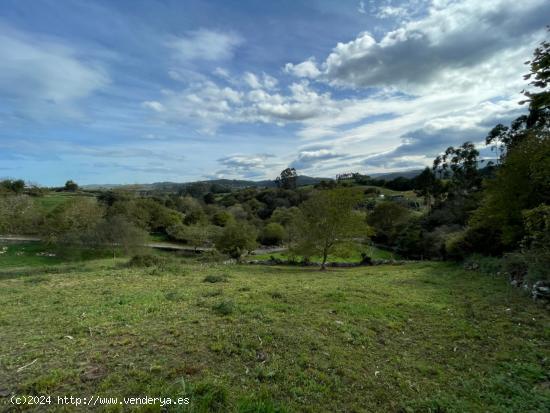  FINCA RÚSTICA EDIFICABLE PARA  VIVIENDA UNIFAMILIAR - CANTABRIA 