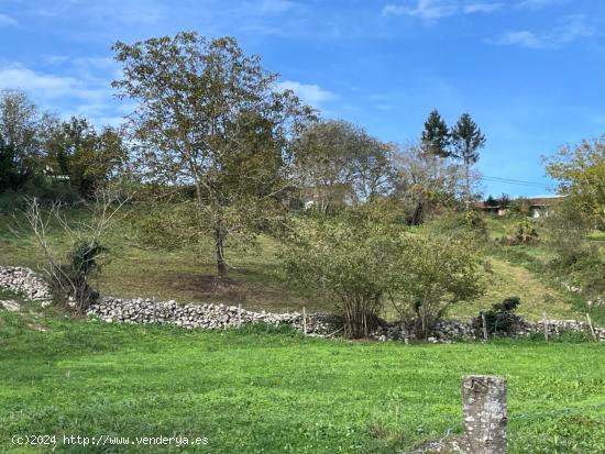 FINCA RÚSTICA EDIFICABLE PARA  VIVIENDA UNIFAMILIAR - CANTABRIA