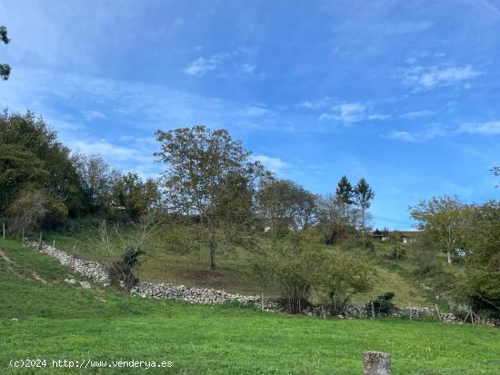 FINCA RÚSTICA EDIFICABLE PARA  VIVIENDA UNIFAMILIAR - CANTABRIA