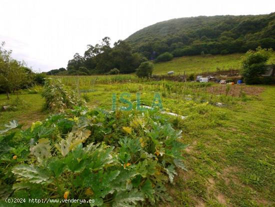 Huerta en Isla - CANTABRIA