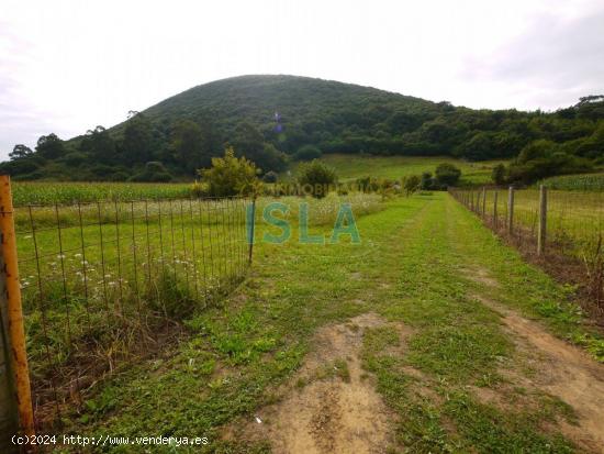 Huerta en Isla - CANTABRIA