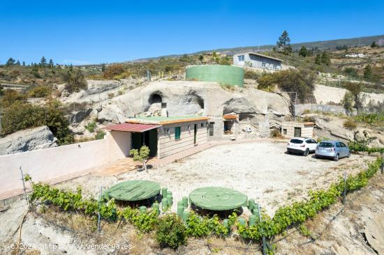 Finca de viñas en Fasnia - SANTA CRUZ DE TENERIFE