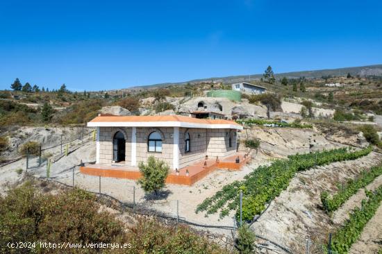 Finca de viñas en Fasnia - SANTA CRUZ DE TENERIFE