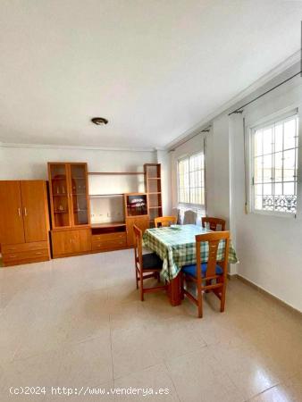 Acogedor estudio en venta en el centro de Torrevieja! - ALICANTE