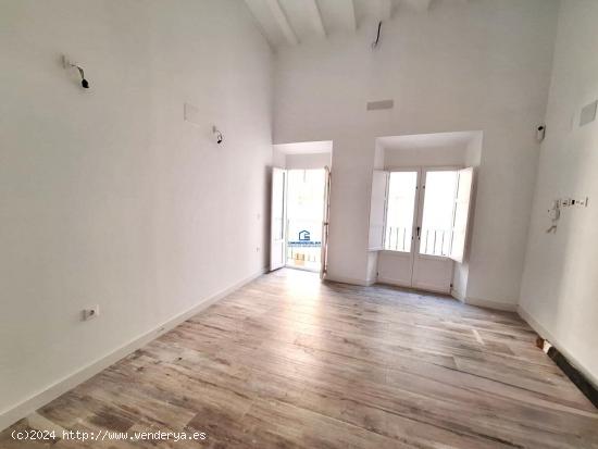 LOFT EN DOS ALTURAS CENTRO CADIZ - CADIZ