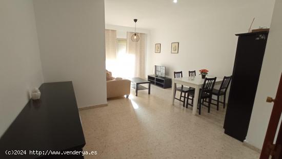 ALQUILER DE HABITACIÓN A  ESTUDIANTES JUNTO A LA UNIVERSIDAD - CADIZ