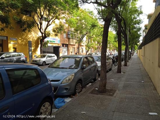  ESTUPENDO LOCAL PARA PODER MONTAR TU PROPIO NEGOCIO - CADIZ 