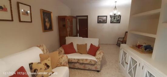 Estupendo piso de 3 dormitorios y 2 baños. - CADIZ