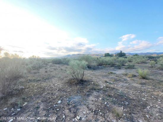 SE VENDE PARCELA  EN TABERNAS PARAJE PEDREGALES - ALMERIA