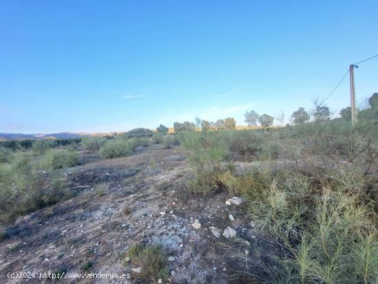 SE VENDE PARCELA  EN TABERNAS PARAJE PEDREGALES - ALMERIA