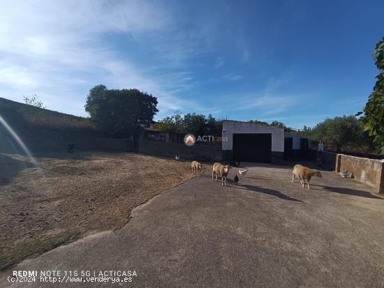 FINCA RÚSTICA CON VIVIENDA EN SIERRA DE FUENTES - CACERES