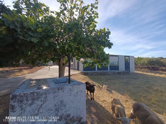 FINCA RÚSTICA CON VIVIENDA EN SIERRA DE FUENTES - CACERES